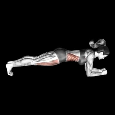 Plank