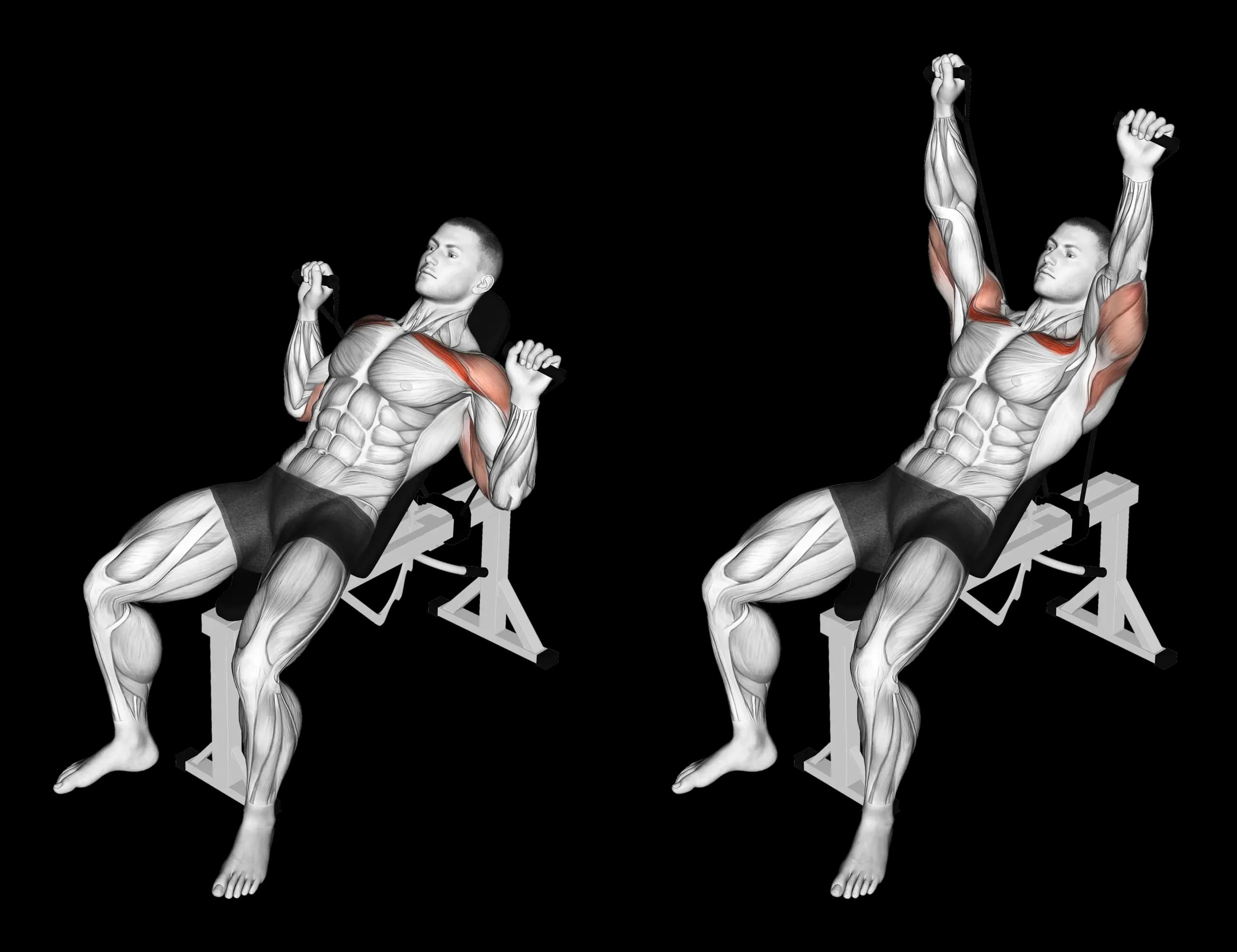 Band Incline Bench Press