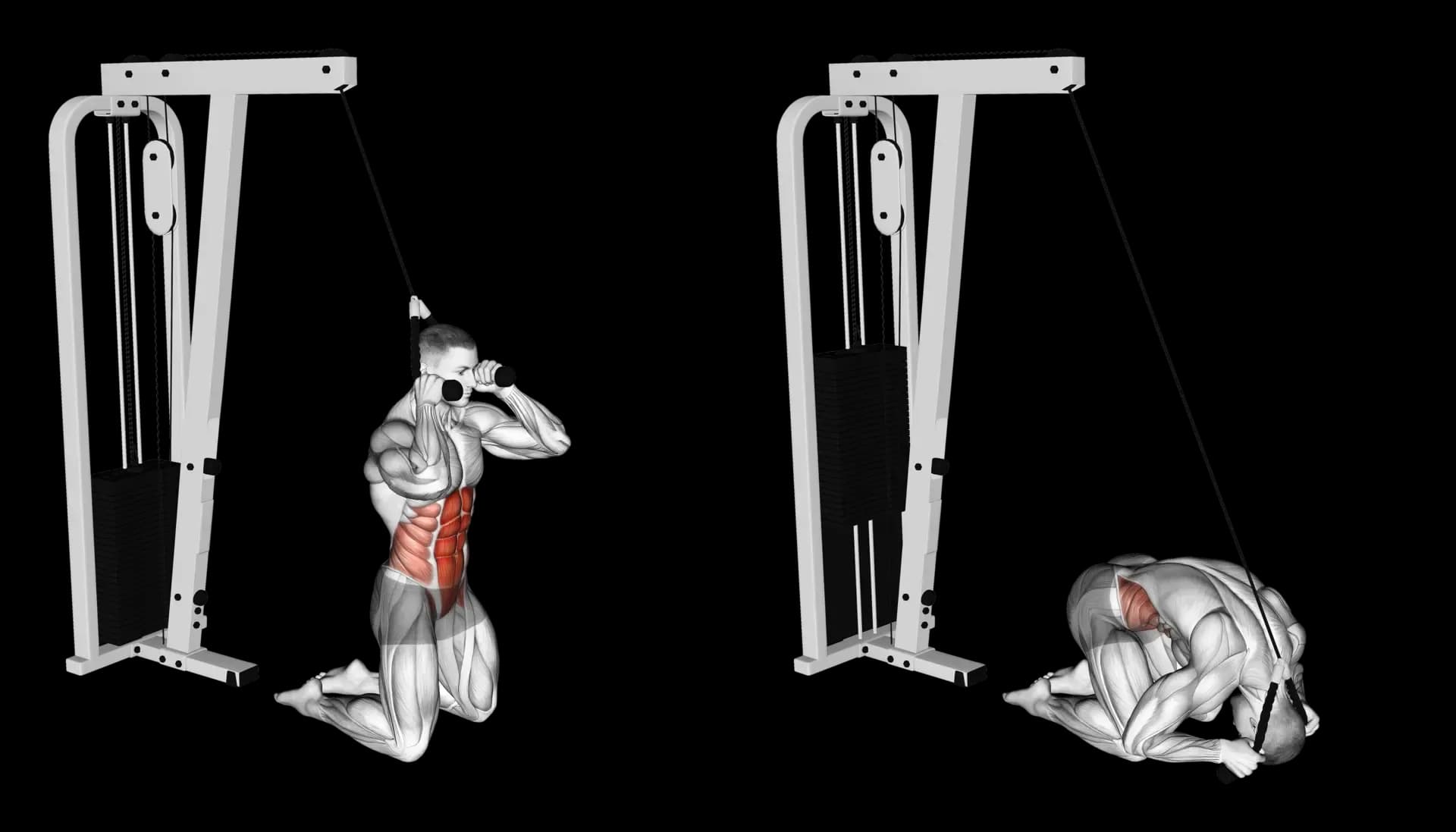 Cable Kneeling Crunch