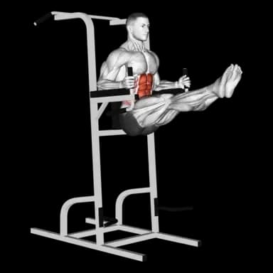 Parallel Bar Leg Raise