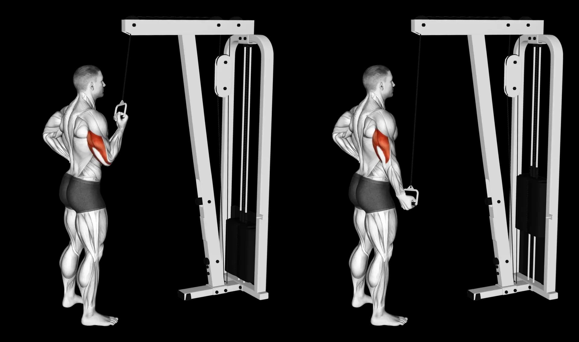 Cable Single-Arm Pushdown