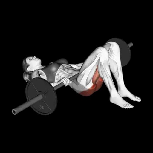 Barbell Glute Bridge
