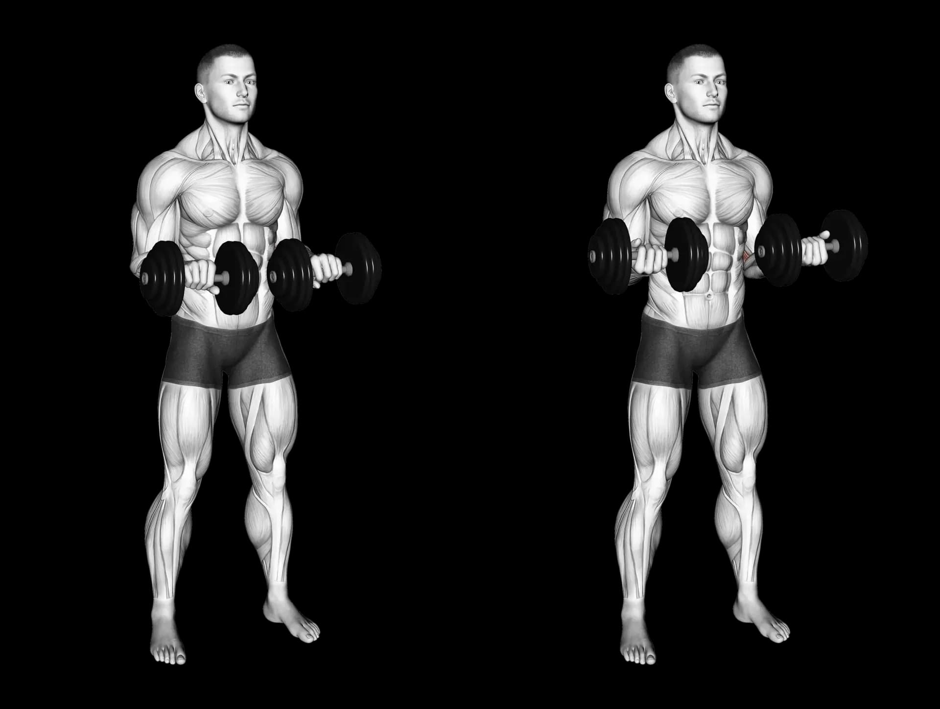 Dumbbell Wrist Twist