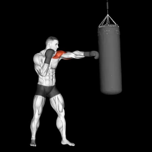 Boxing
