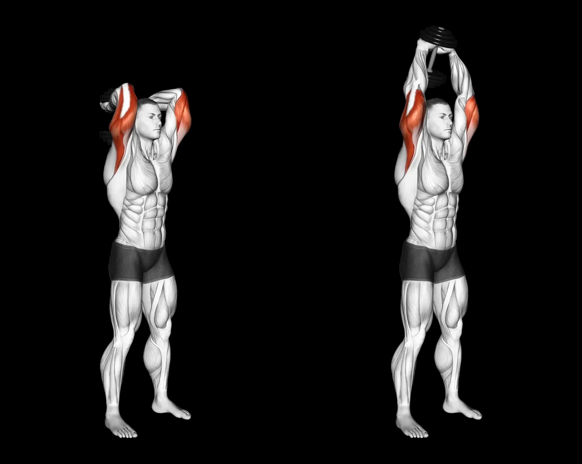 Dumbbell Triceps Extension