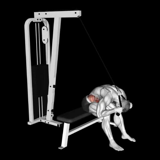 Cable Seated Crunch