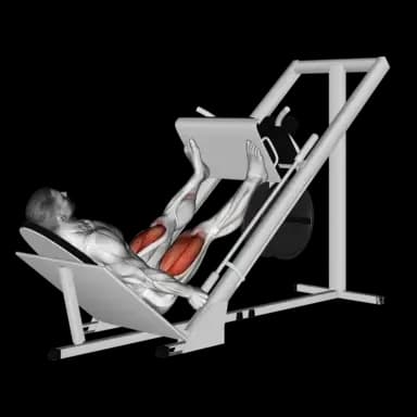 Machine Leg Press