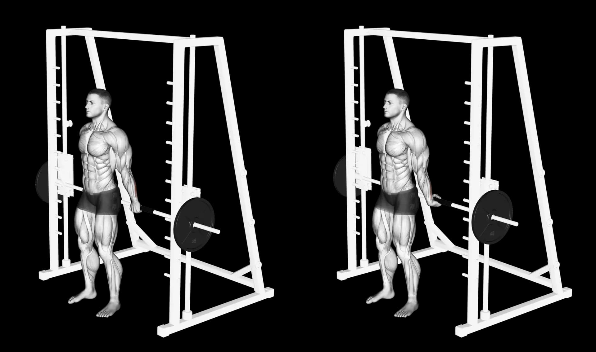Behind the Back Smith Machine Wrist Curls
