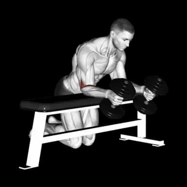 Dumbbell Neutral Grip Wrist Curl