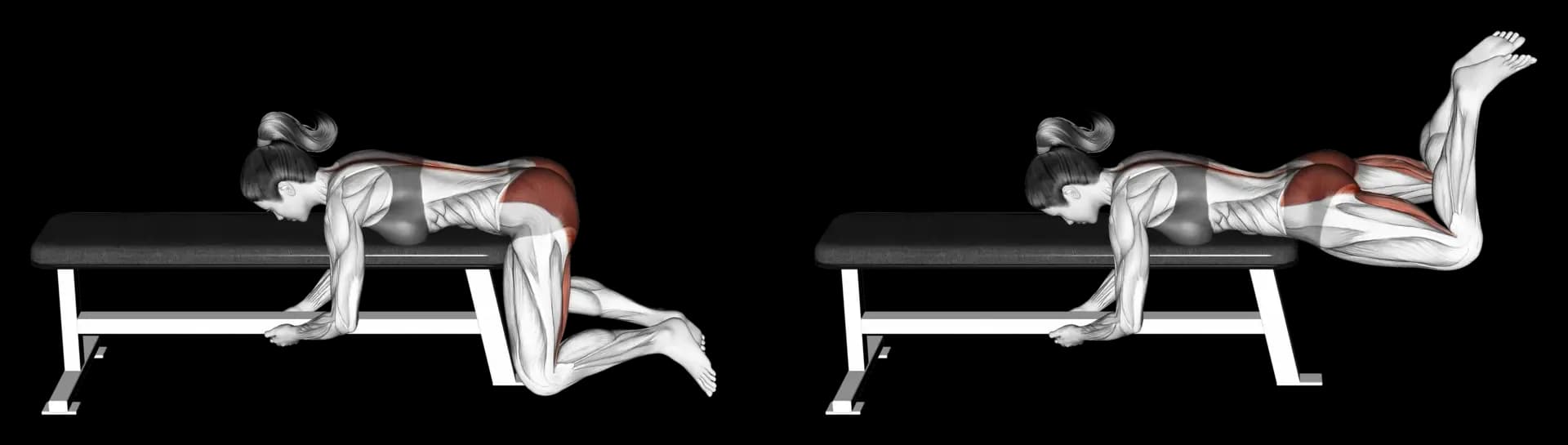 Frog Reverse Hyperextension