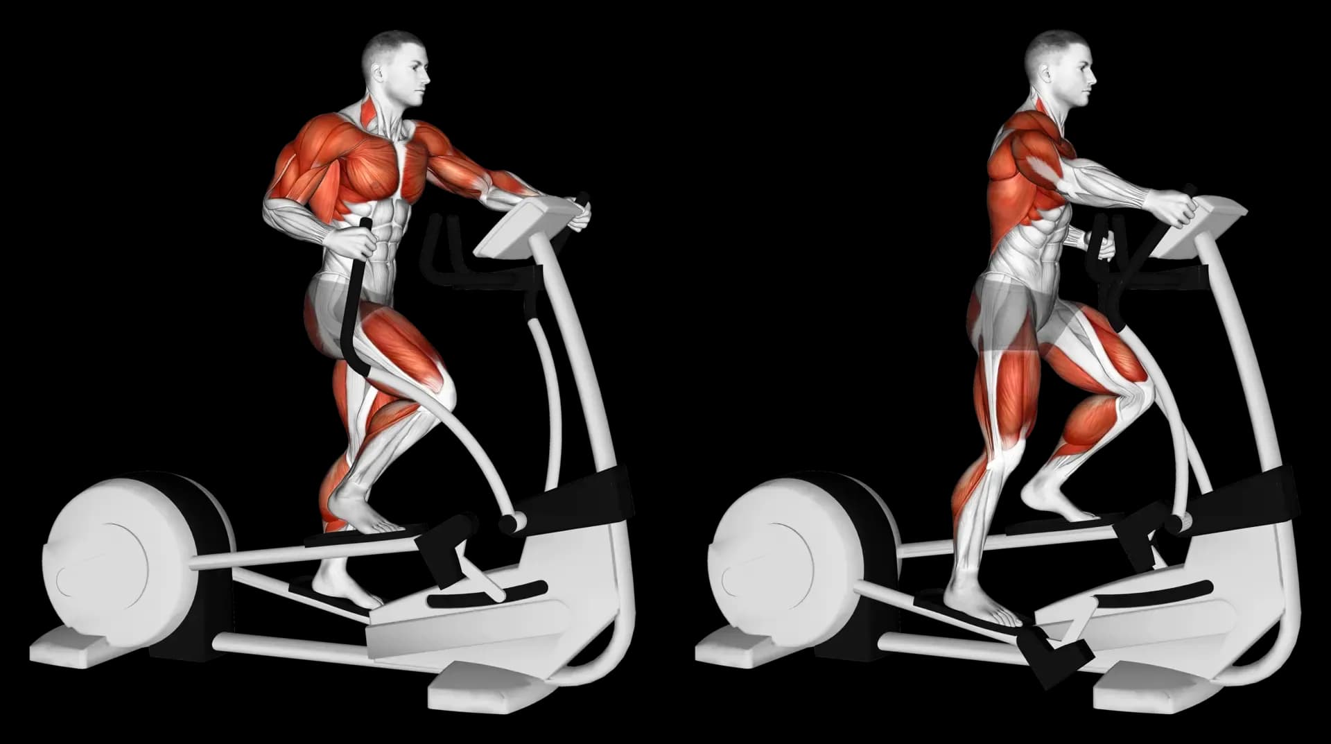 Elliptical Training