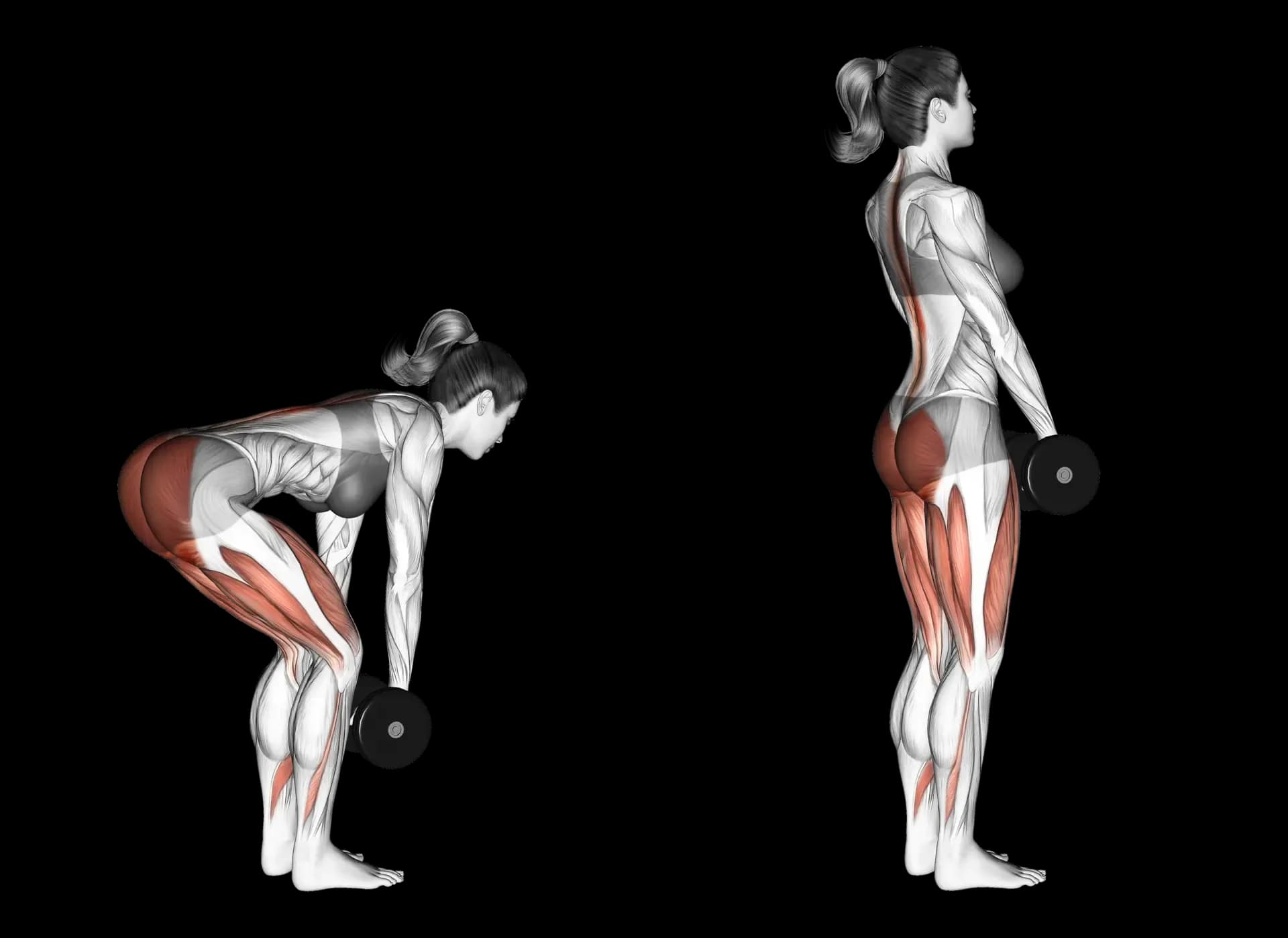 Dumbbell Romanian Deadlift