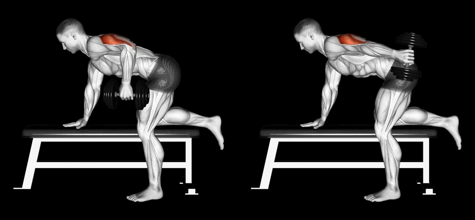 Dumbbell Single-Arm Triceps Kickback