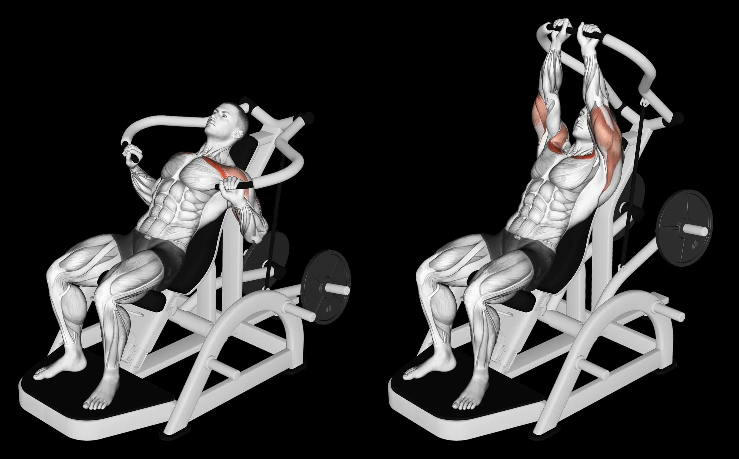 Machine Incline Bench Press