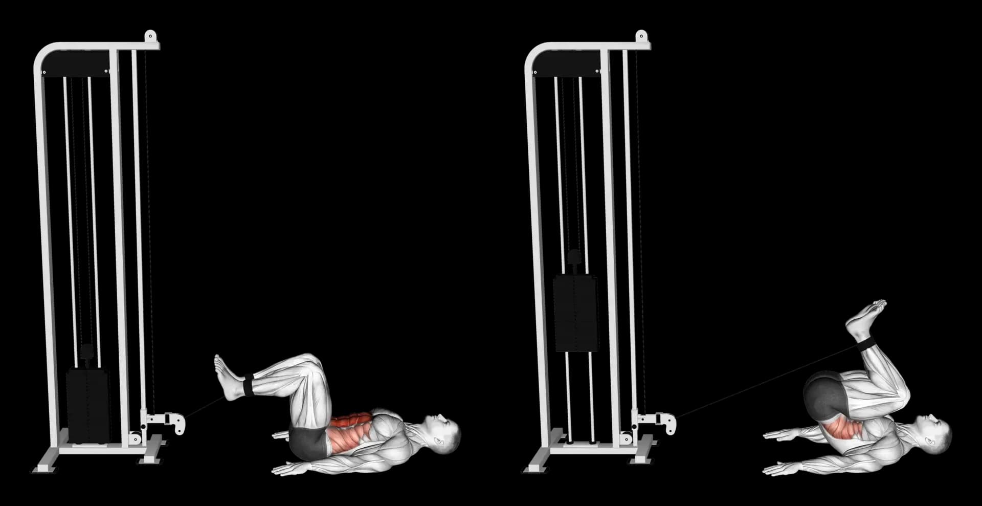 Cable Reverse Crunch