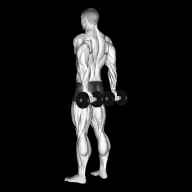 Behind the Back Dumbbell Finger Curls