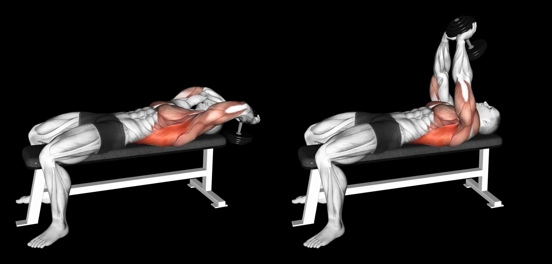 Dumbbell Pullover