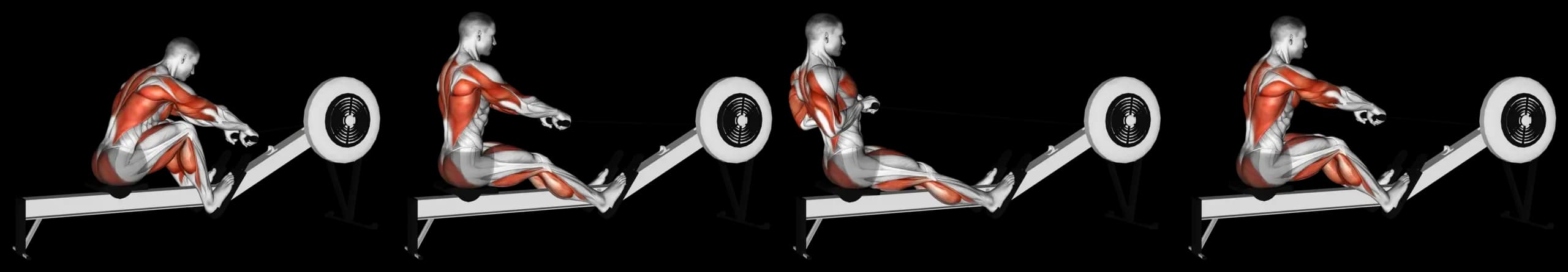 Rowing Machine