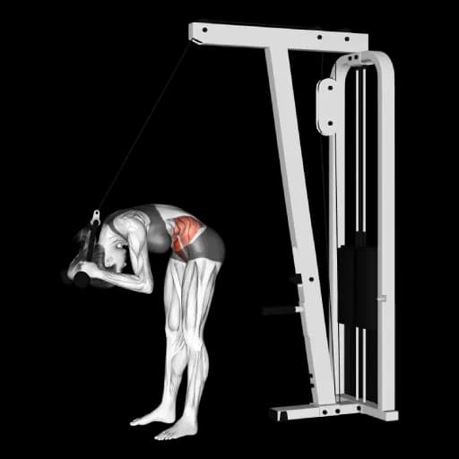 Cable Standing Crunch