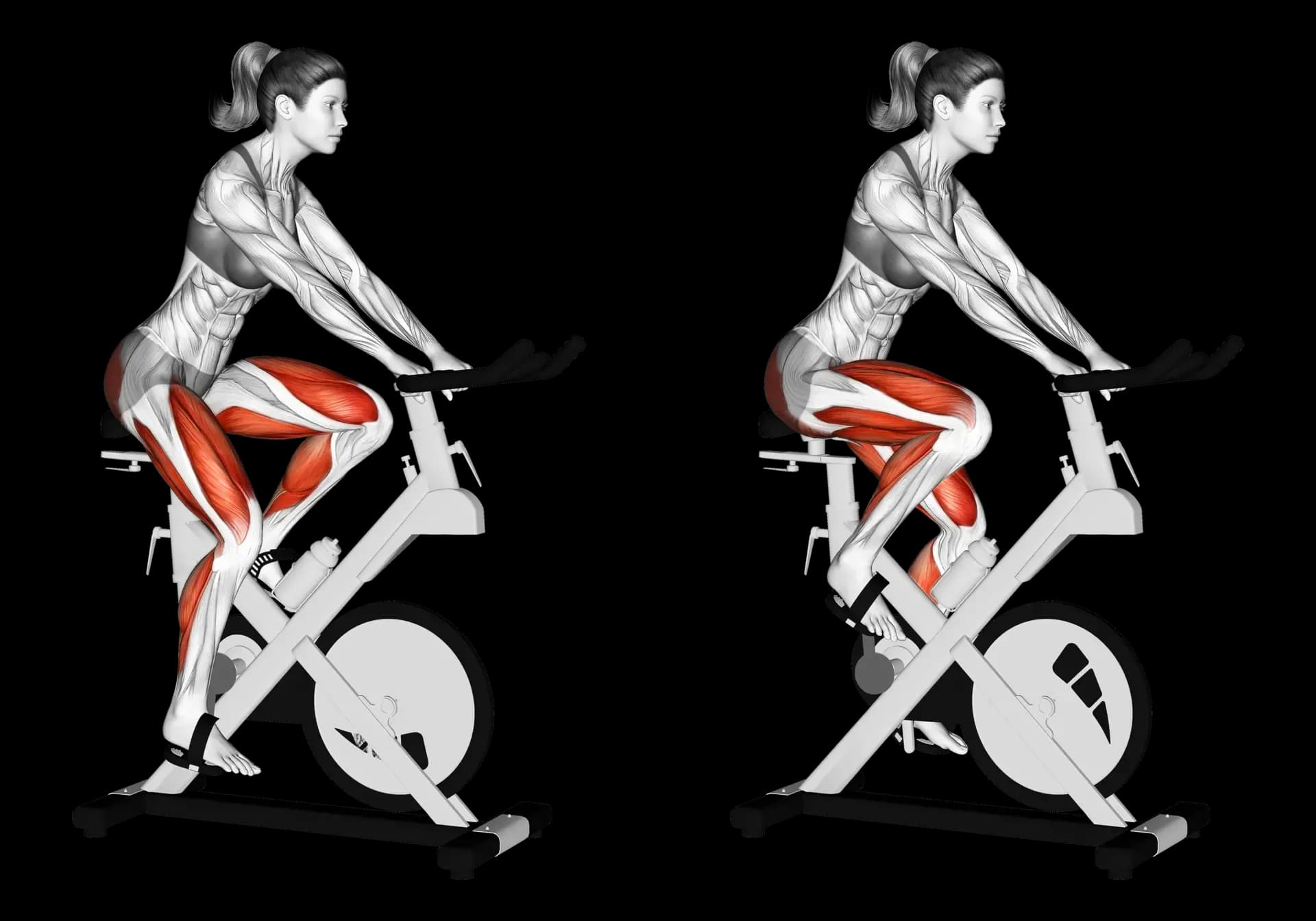 Indoor Cycle