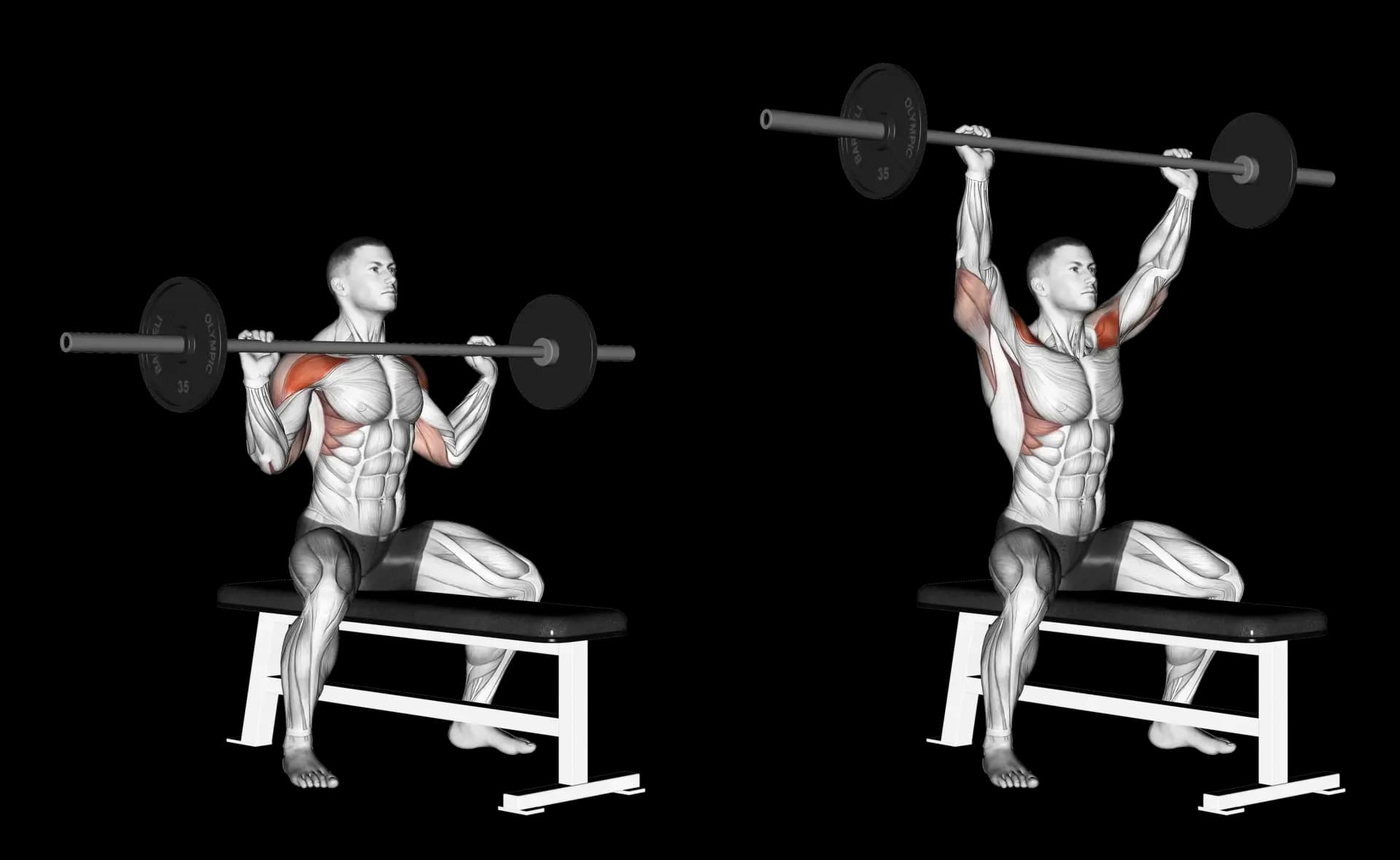 Seated Barbell Shoulder Press