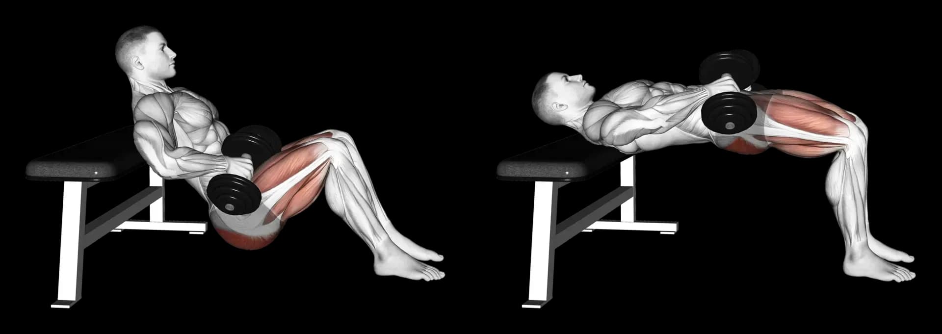 Dumbbell Hip Thrust