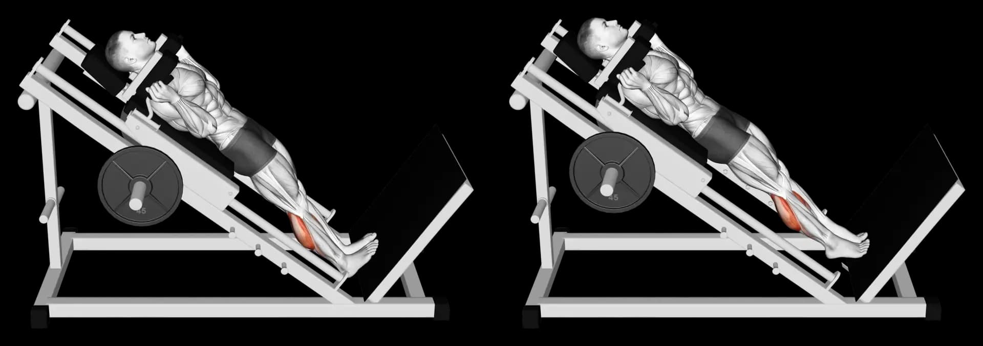 Hack Calf Raise