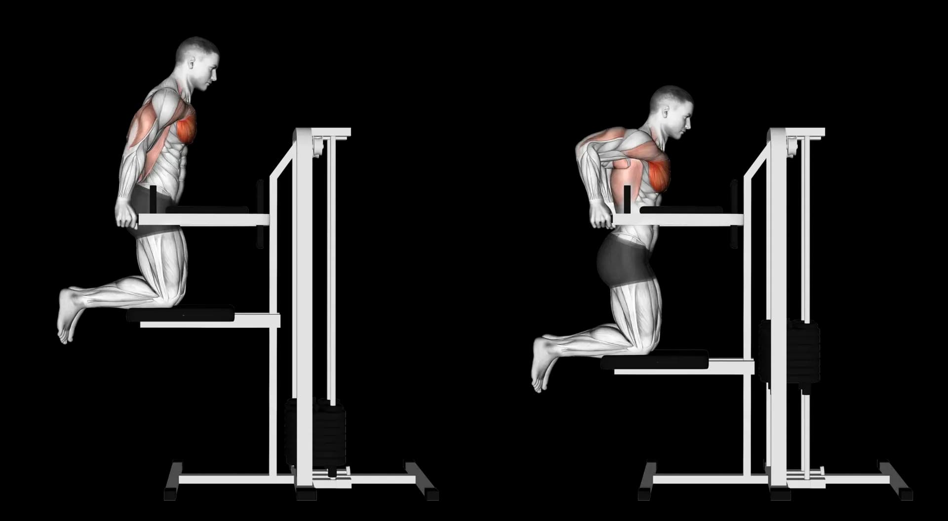 Machine Assisted Chest Dip