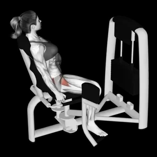 Machine Hip Abduction