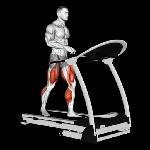 Treadmill Walking
