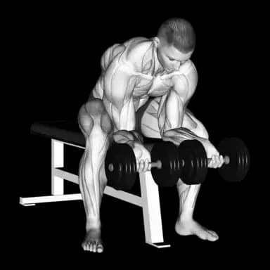Dumbbell Finger Curls