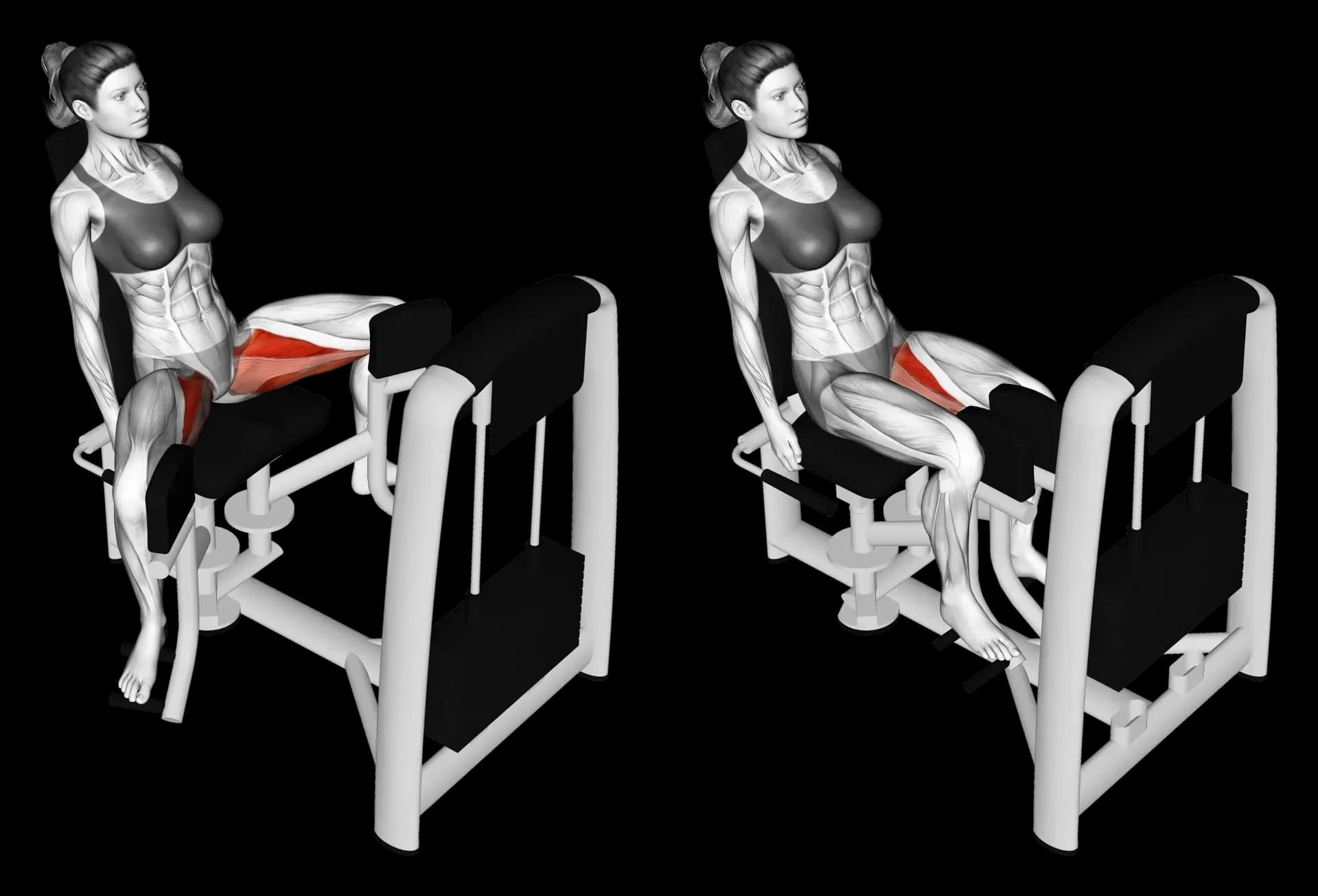 Machine Hip Adduction