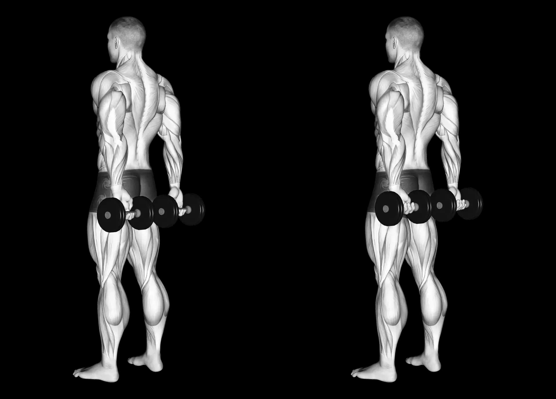 Behind the Back Dumbbell Finger Curls