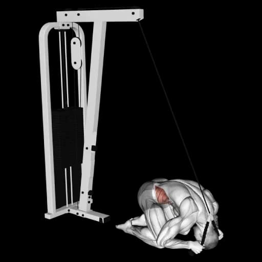 Cable Kneeling Crunch
