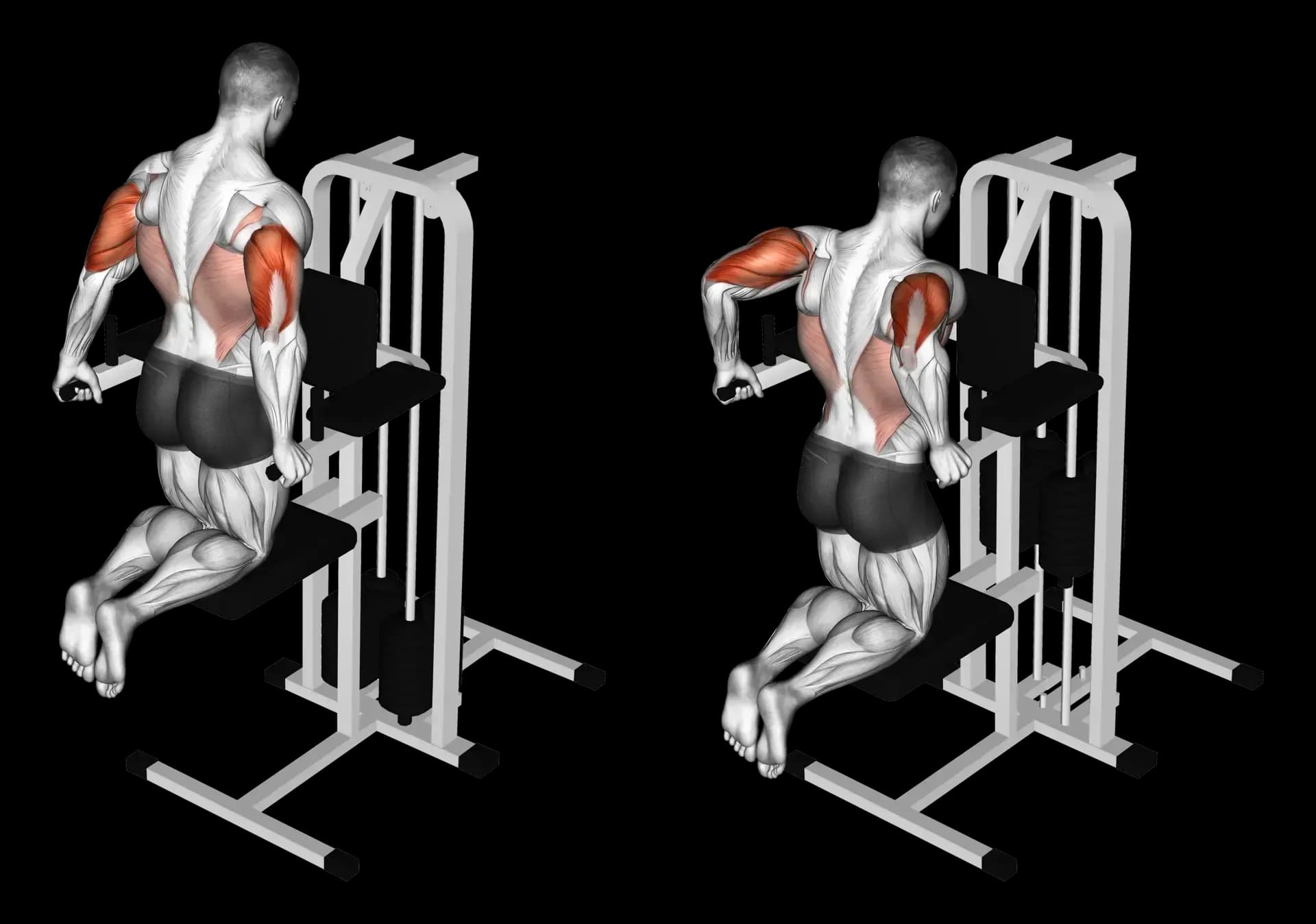 Machine Assisted Triceps Dip