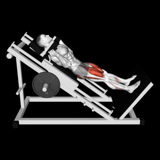 Hack Squat