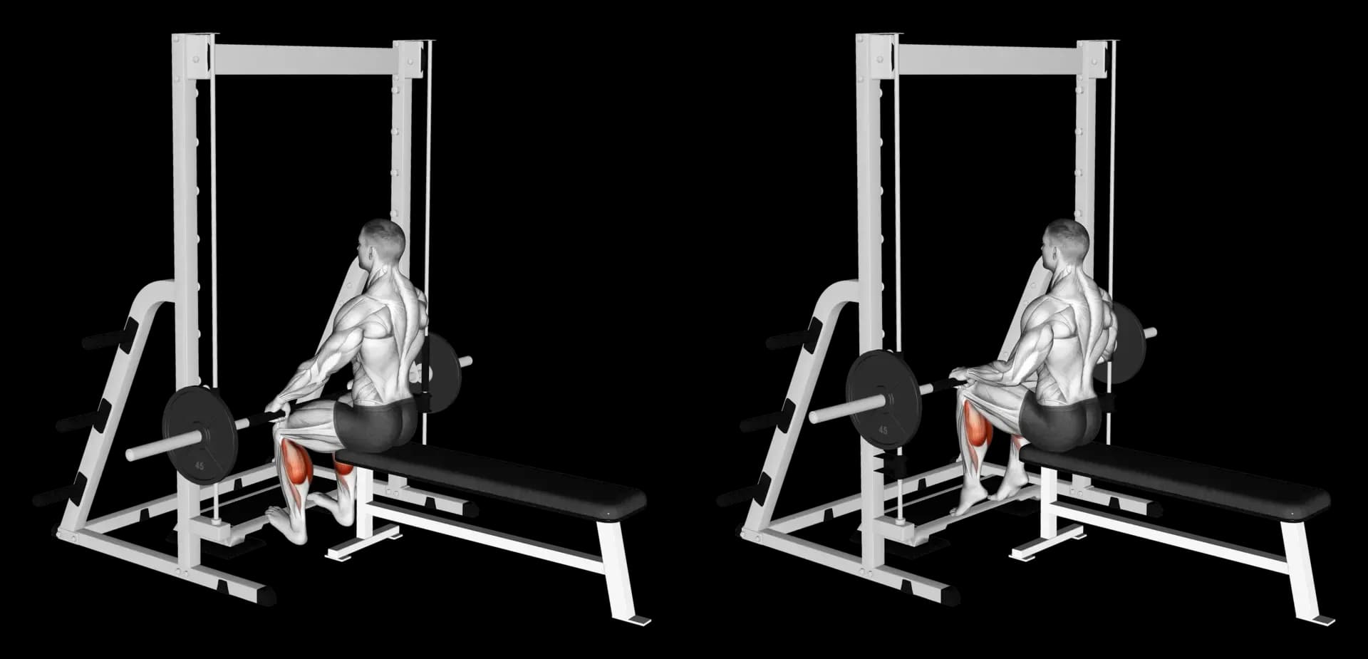Smith Machine Seated Calf Raise