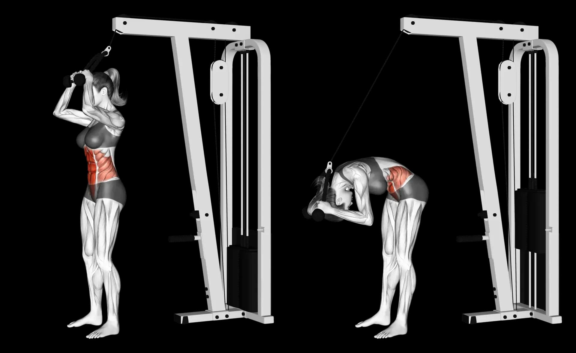 Cable Standing Crunch