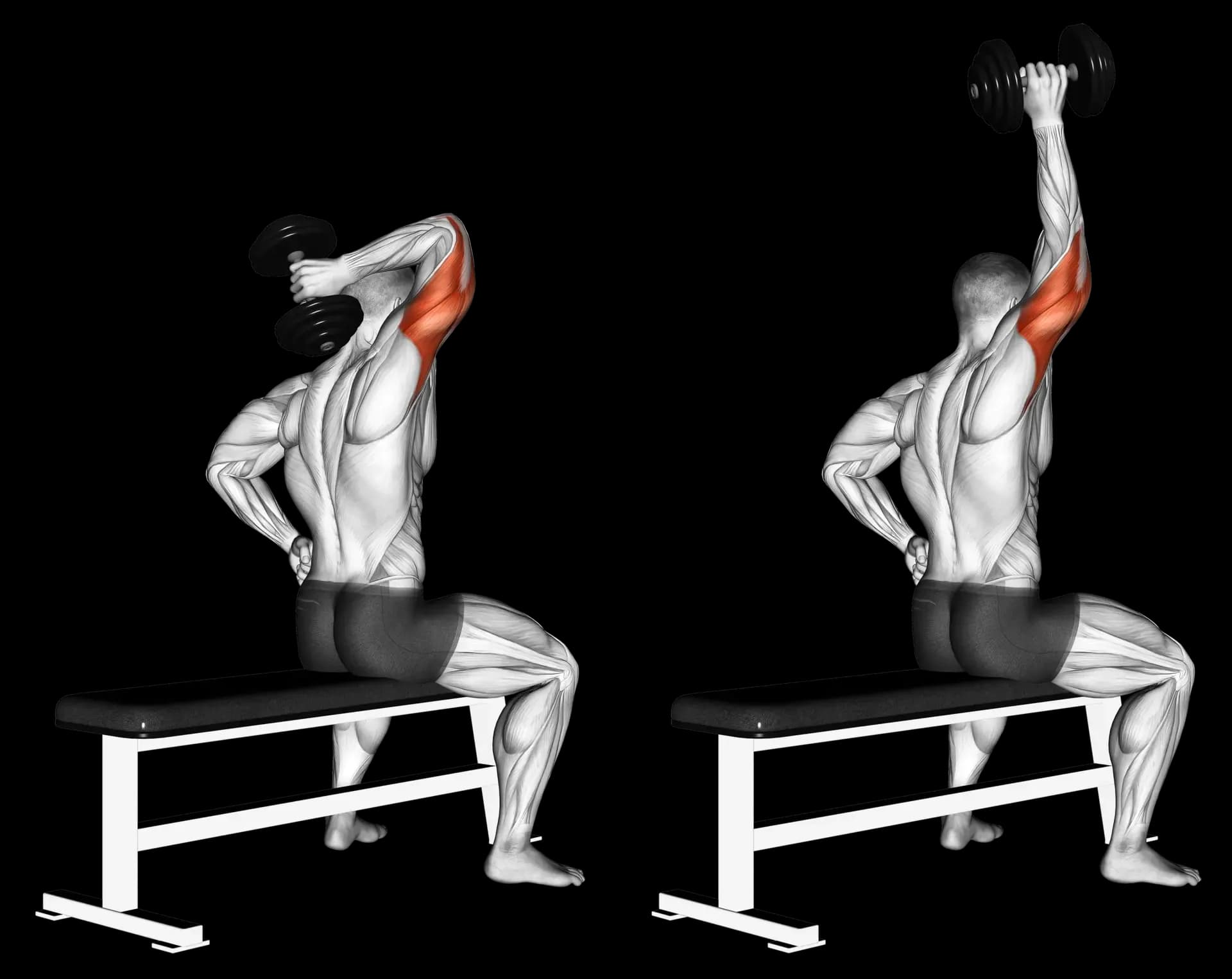 Dumbbell Seated Single-Arm Tricep Extension