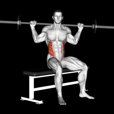 Barbell Seated Twist