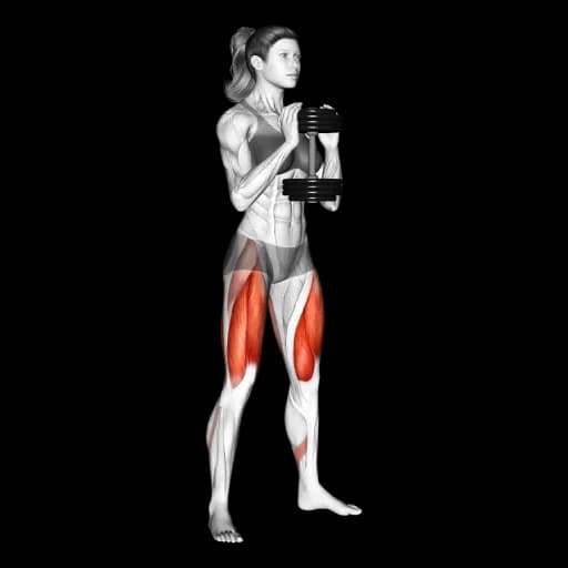 Dumbbell Squat