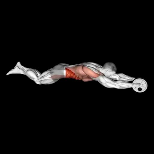 Ab Wheel Rollout