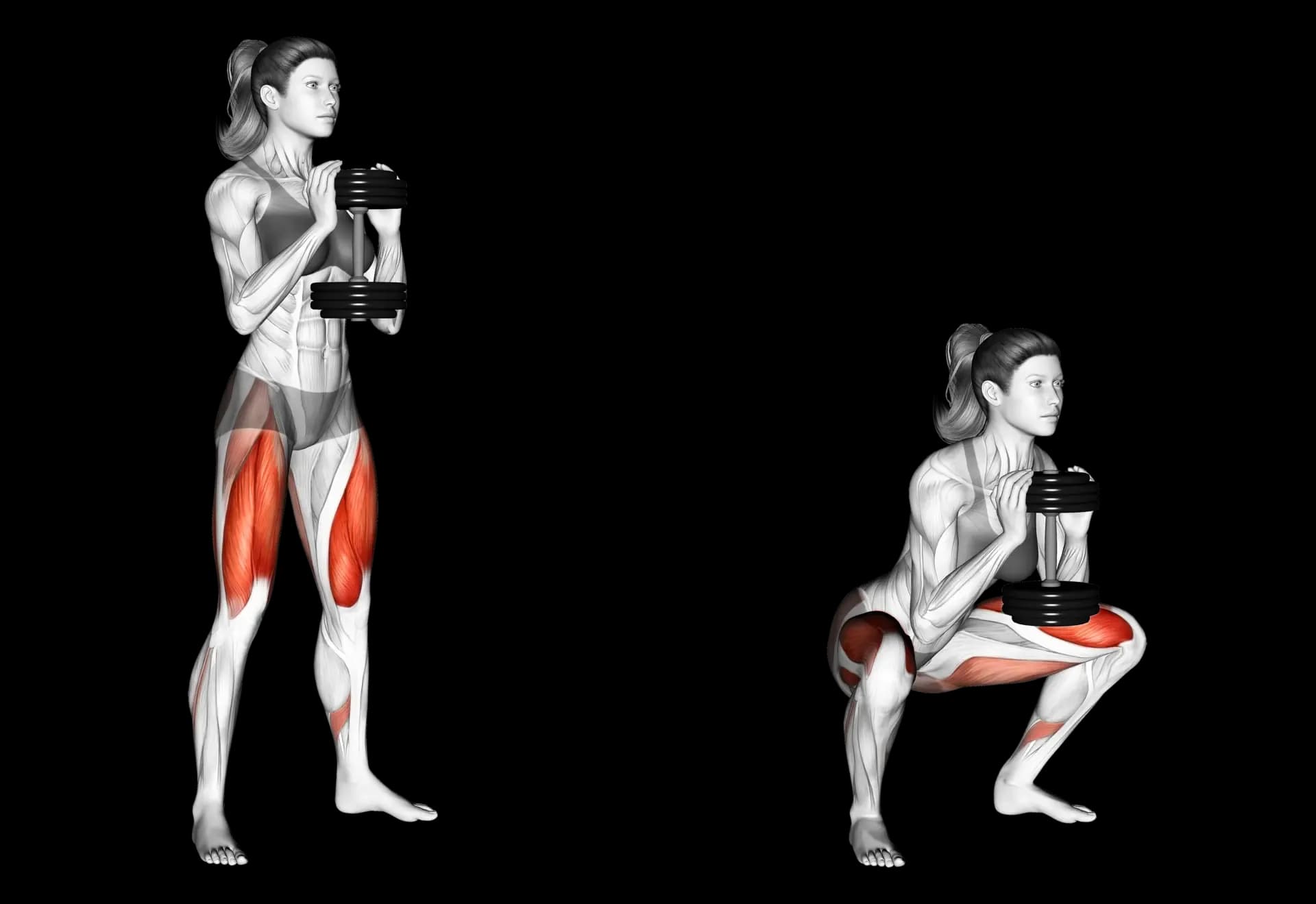 Dumbbell Squat