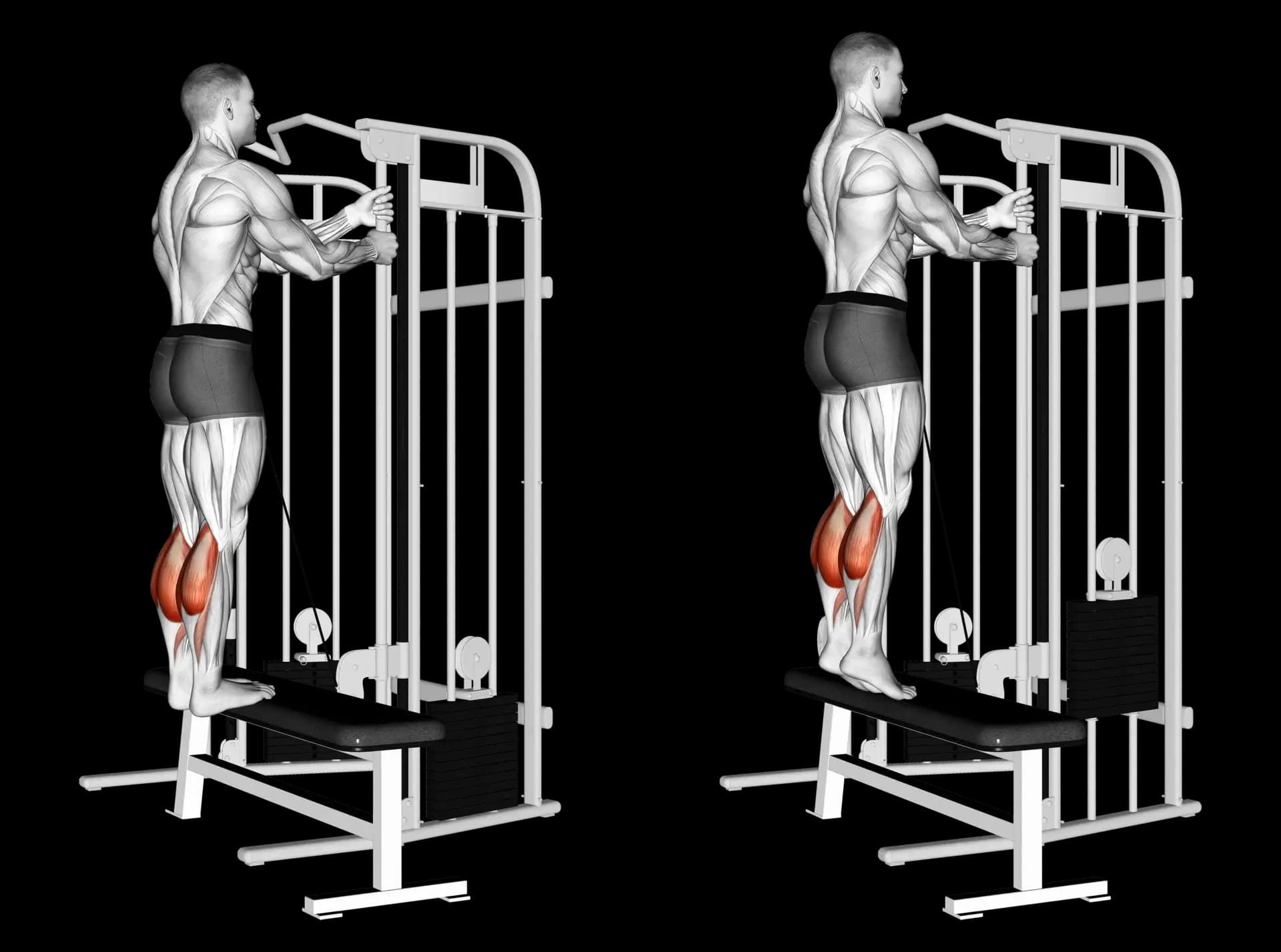 Cable Calf Raise