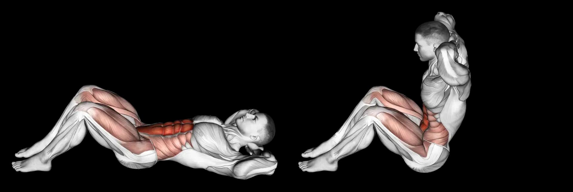 Sit-Up