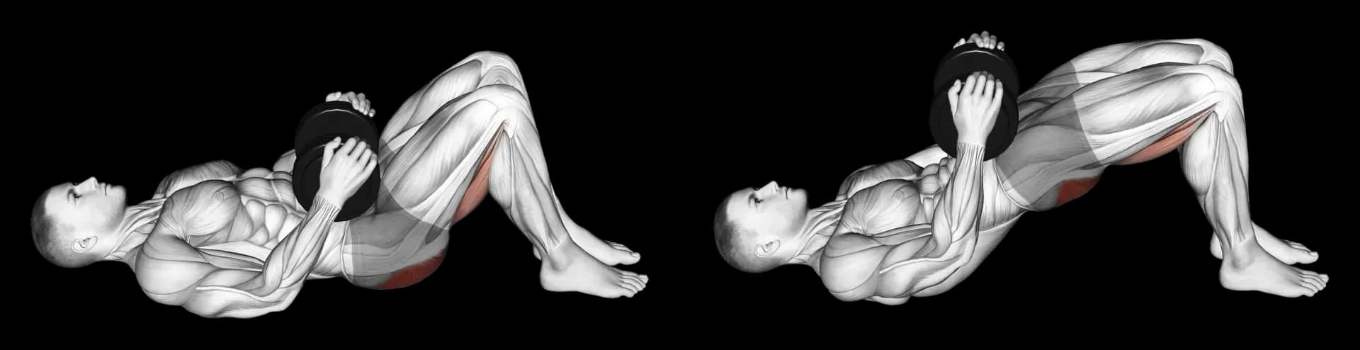 Dumbbell Glute Bridge