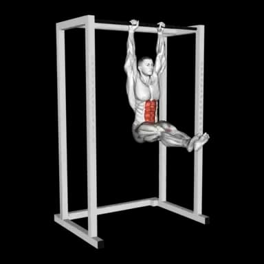 Hanging Straight Leg Raise