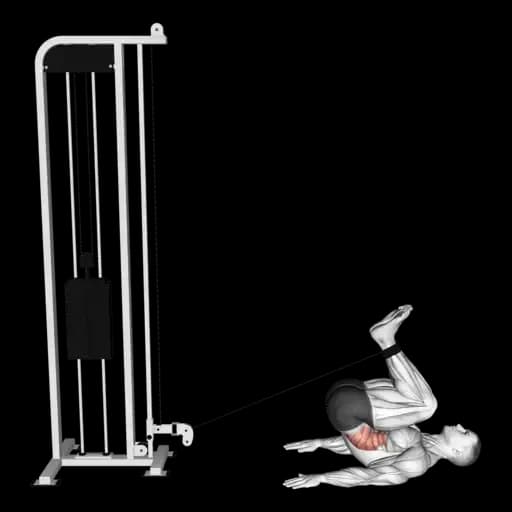Cable Reverse Crunch
