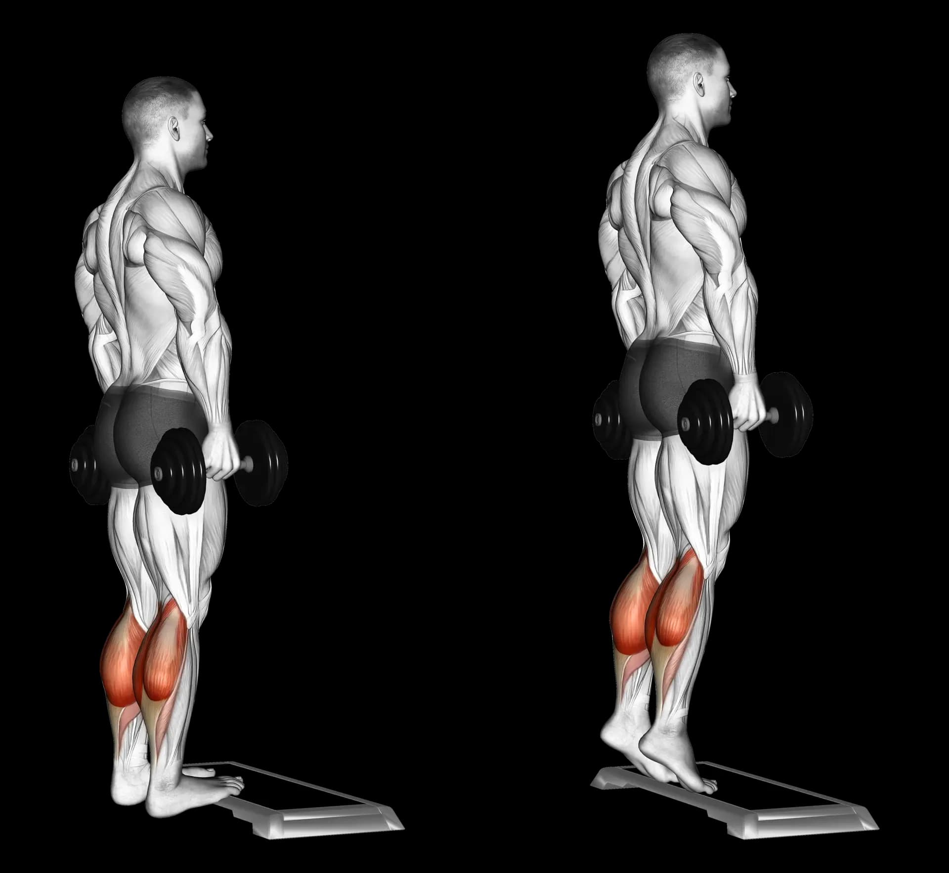 Dumbbell Standing Calf Raise