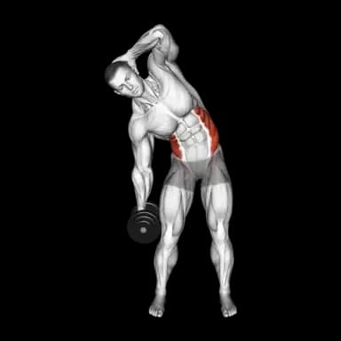 Dumbbell Side Bend